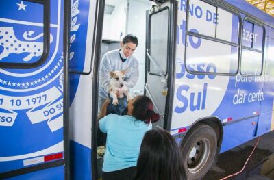 Imagem da notícia Com mais de 5 mil procedimentos na 1ª etapa, região norte é próxima a ser comtemplada com Caravana da Castração